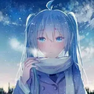 用户山谷回声头像